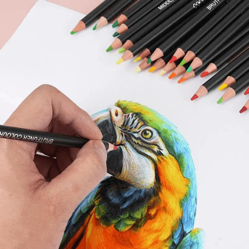 lapis de colorir, lapis, colorir, arte no papel, lapis de colorir a base de oleo, lapis a base de oleo, lapis a oleo, grafite, lapis colorido, artistas do lapis, lapis artistas, lapis principiantes